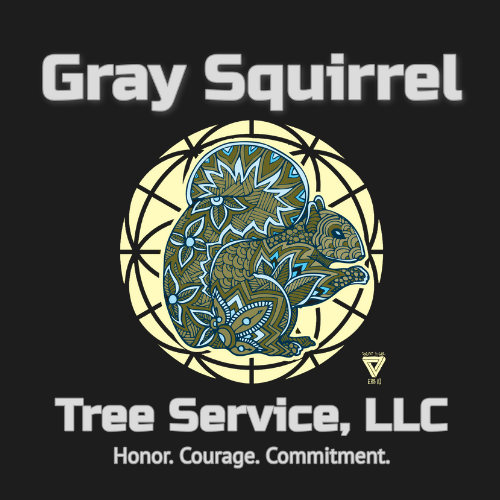 gray squirrel tree service